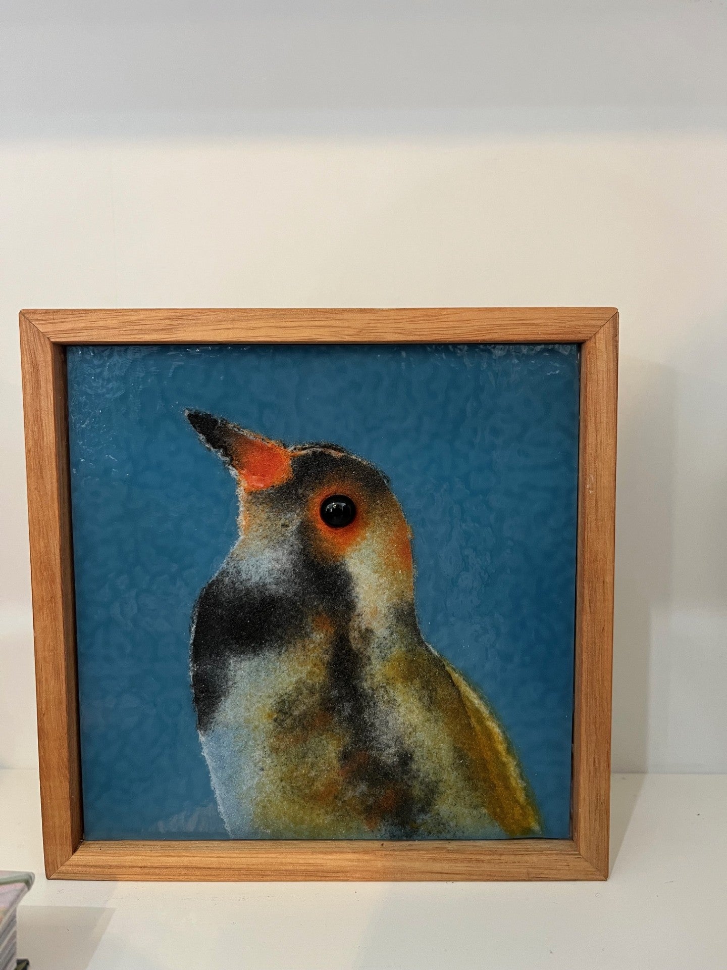 Dotterel (blue)