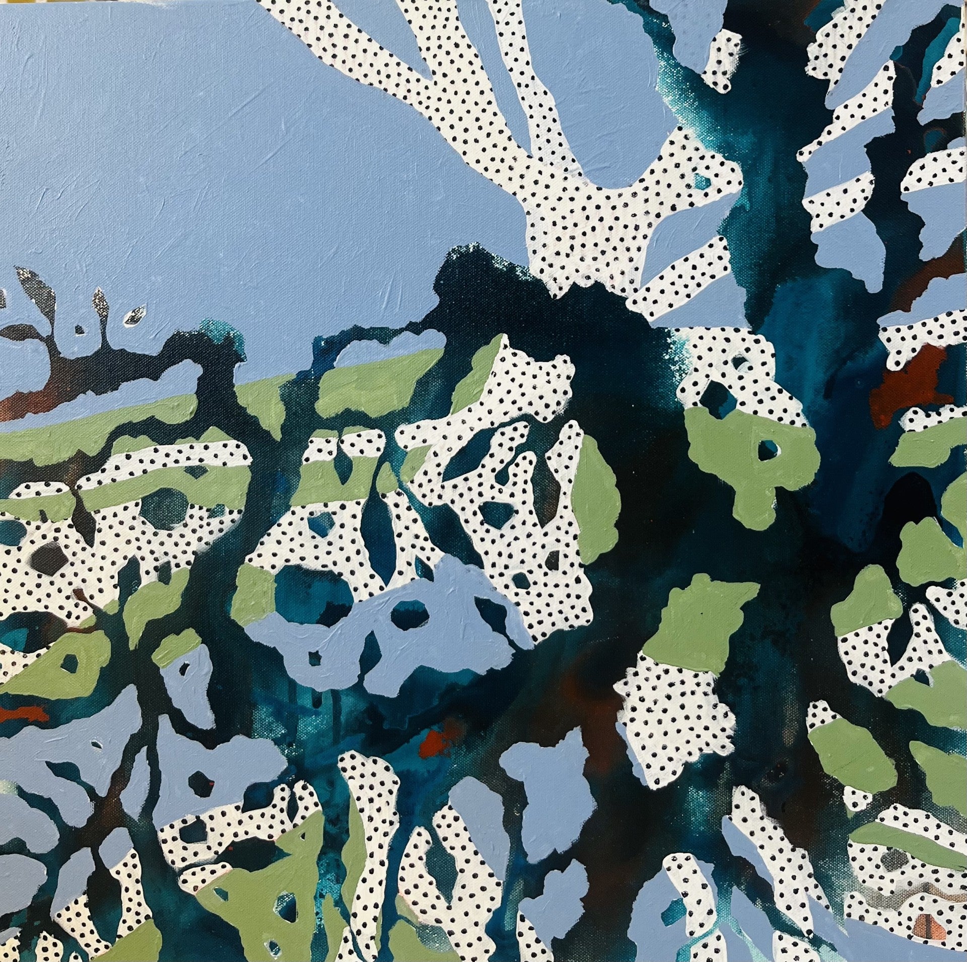 Ghost Gum