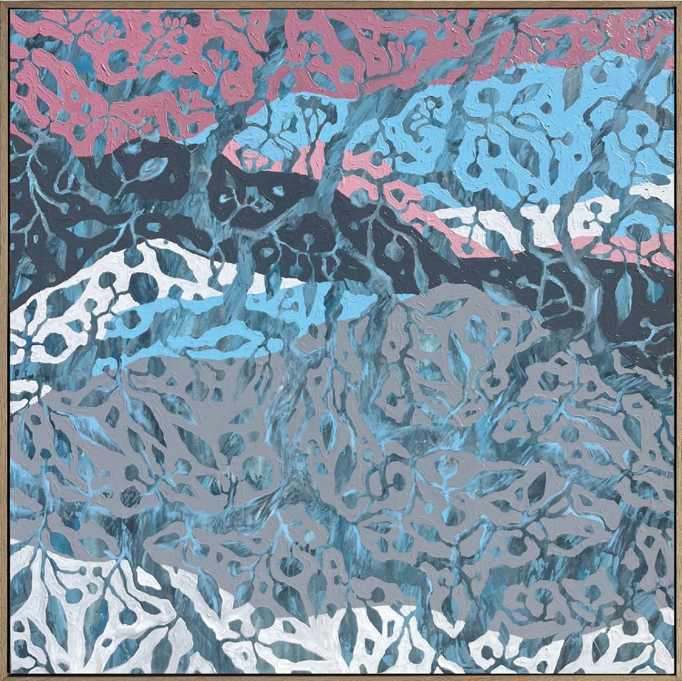 Blue Gum 2