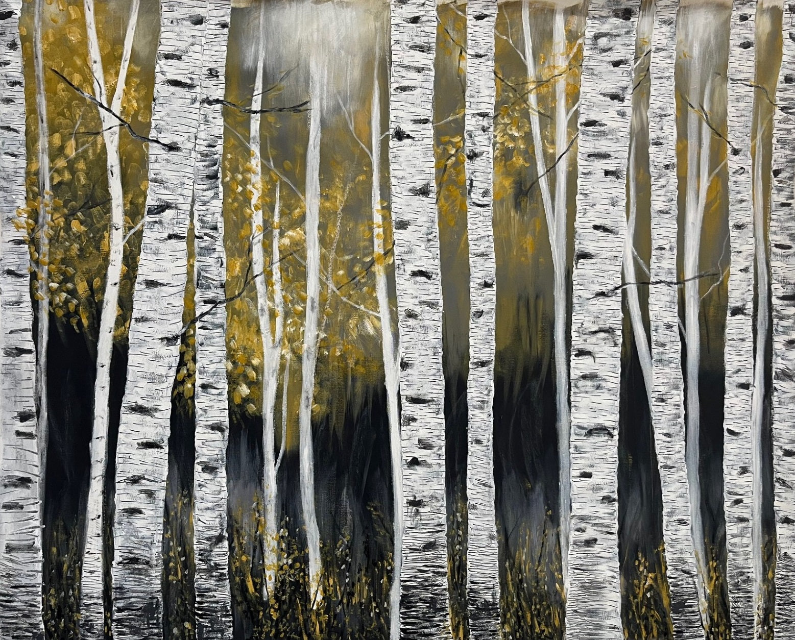 Dappled Birch Grove