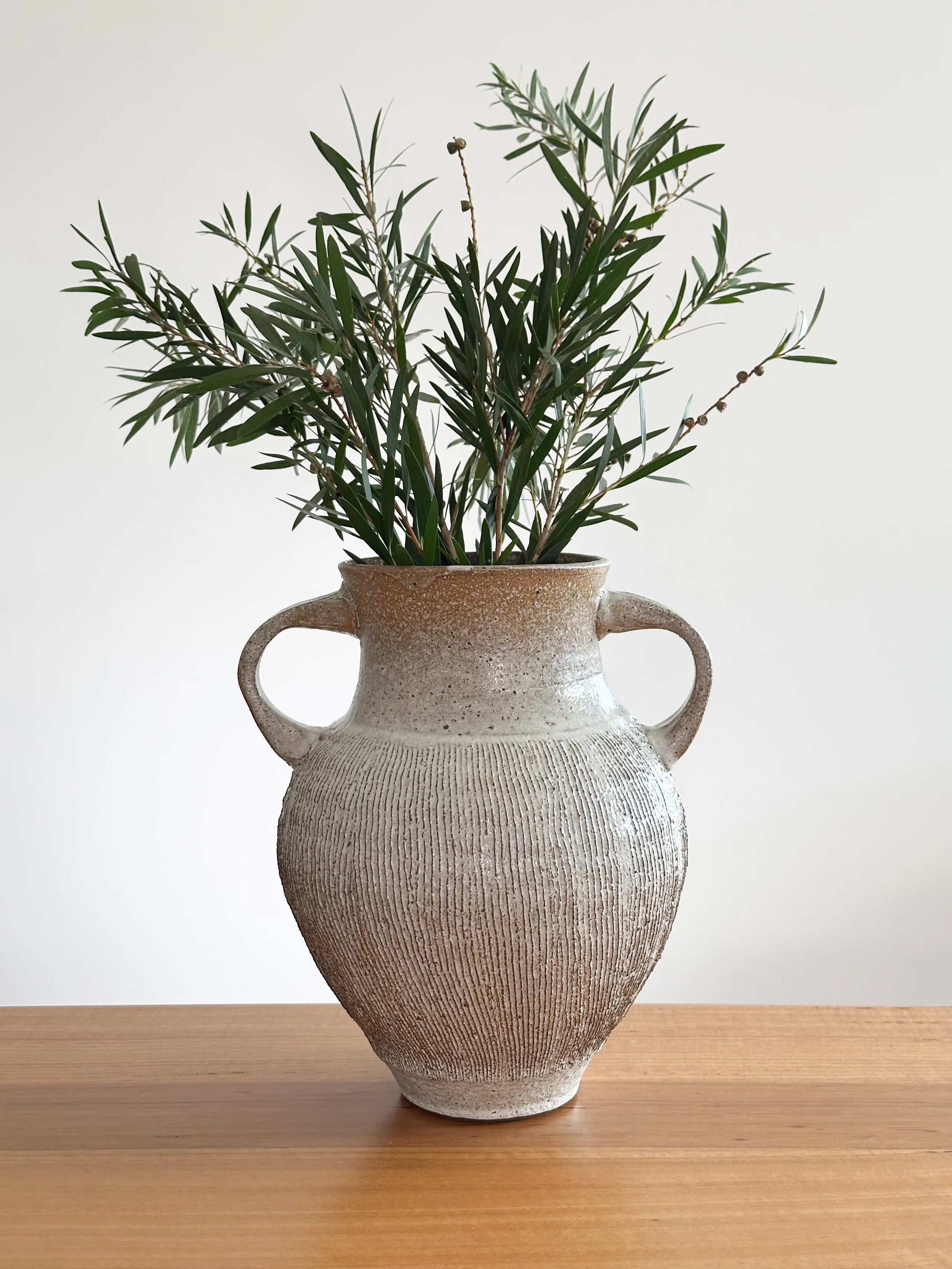Large Handled Vase #2