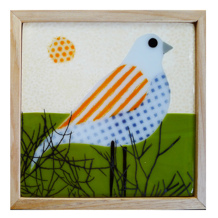 Spotted Pardalote #4 by Grace Turner