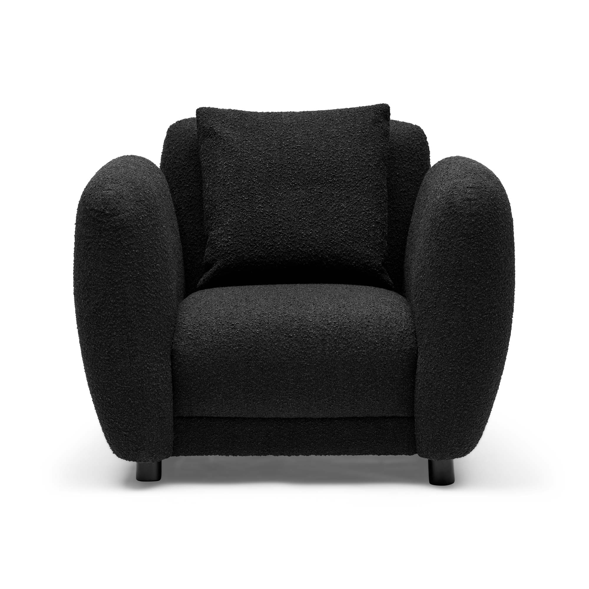 Palome Armchair in Charcoal