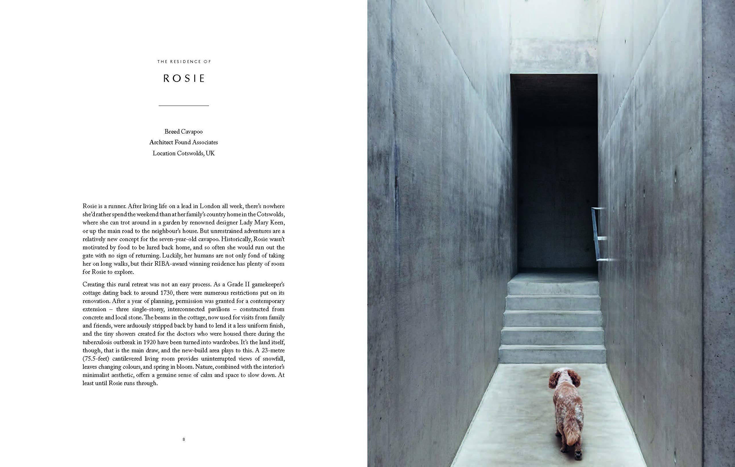 Resident Dog: Volume 2