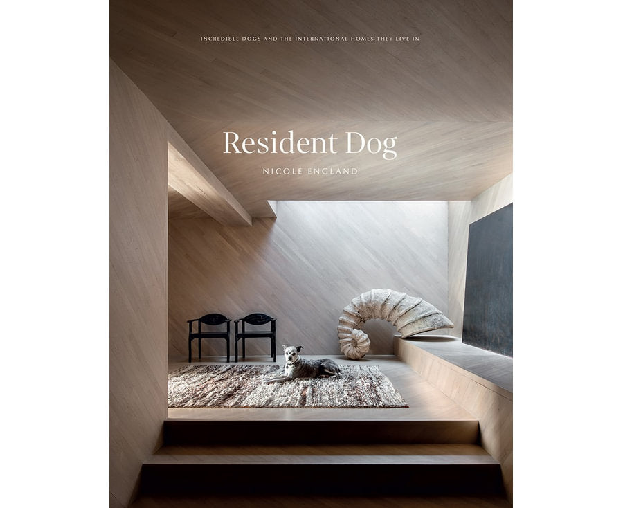 Resident Dog: Volume 2