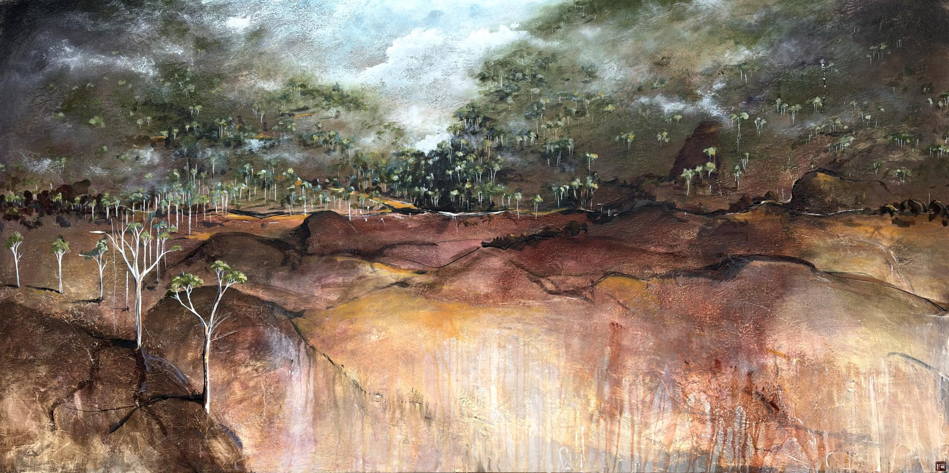 Veil of the quiet woods
