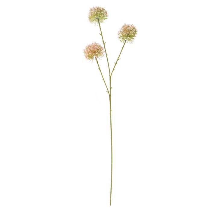 Dandelion Stem 70cm in Nude