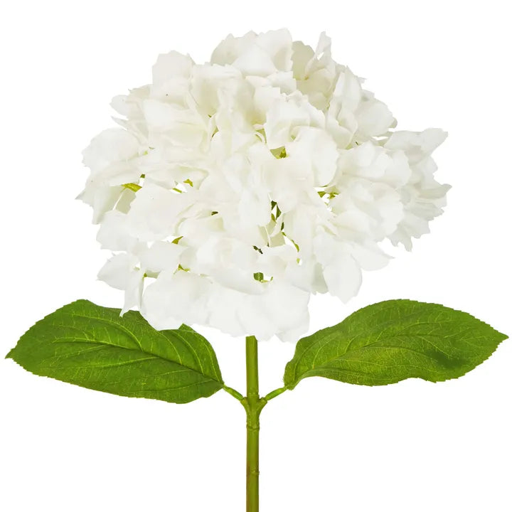 Hydrangea Water 49cm White