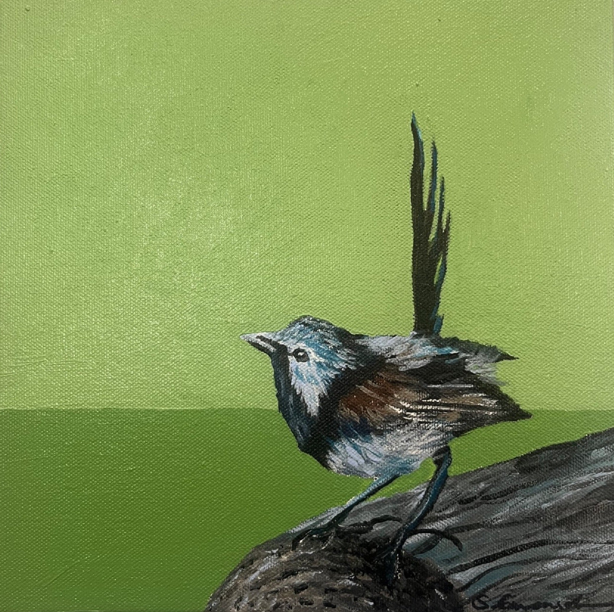 Green wren