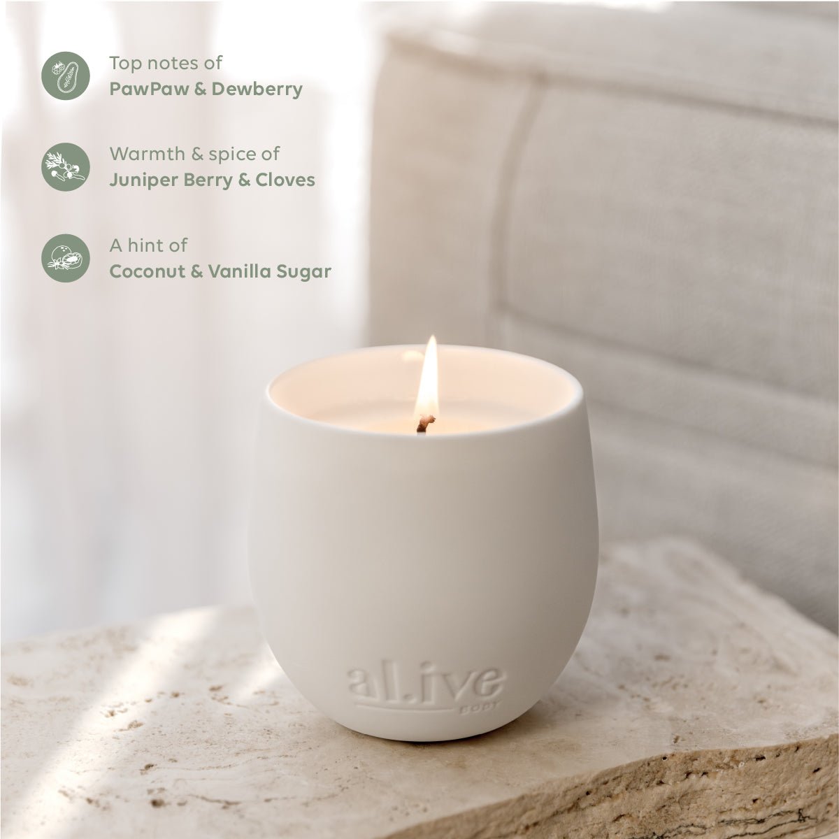 Sweet Dewberry + Clove Soy Candle